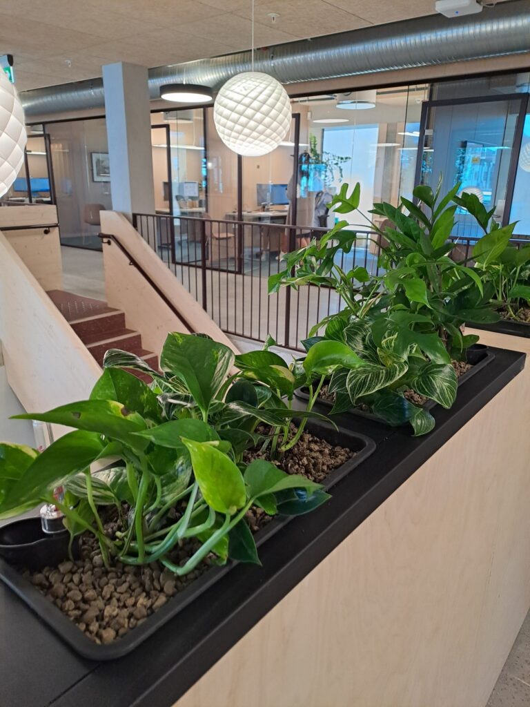 Grenland Boligbyggelag innendørsbeplantning - GHL Hage & Landskap