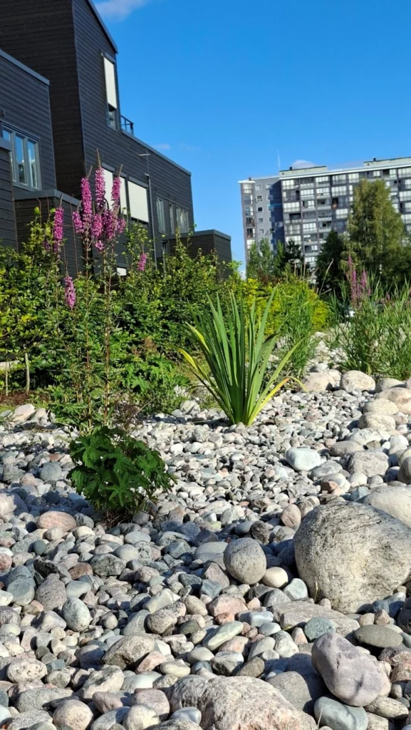 Regnbed på Falkum
