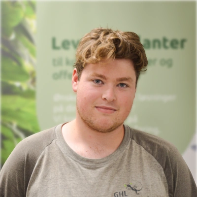 Anleggsgartner lærling - Frank Bisschop