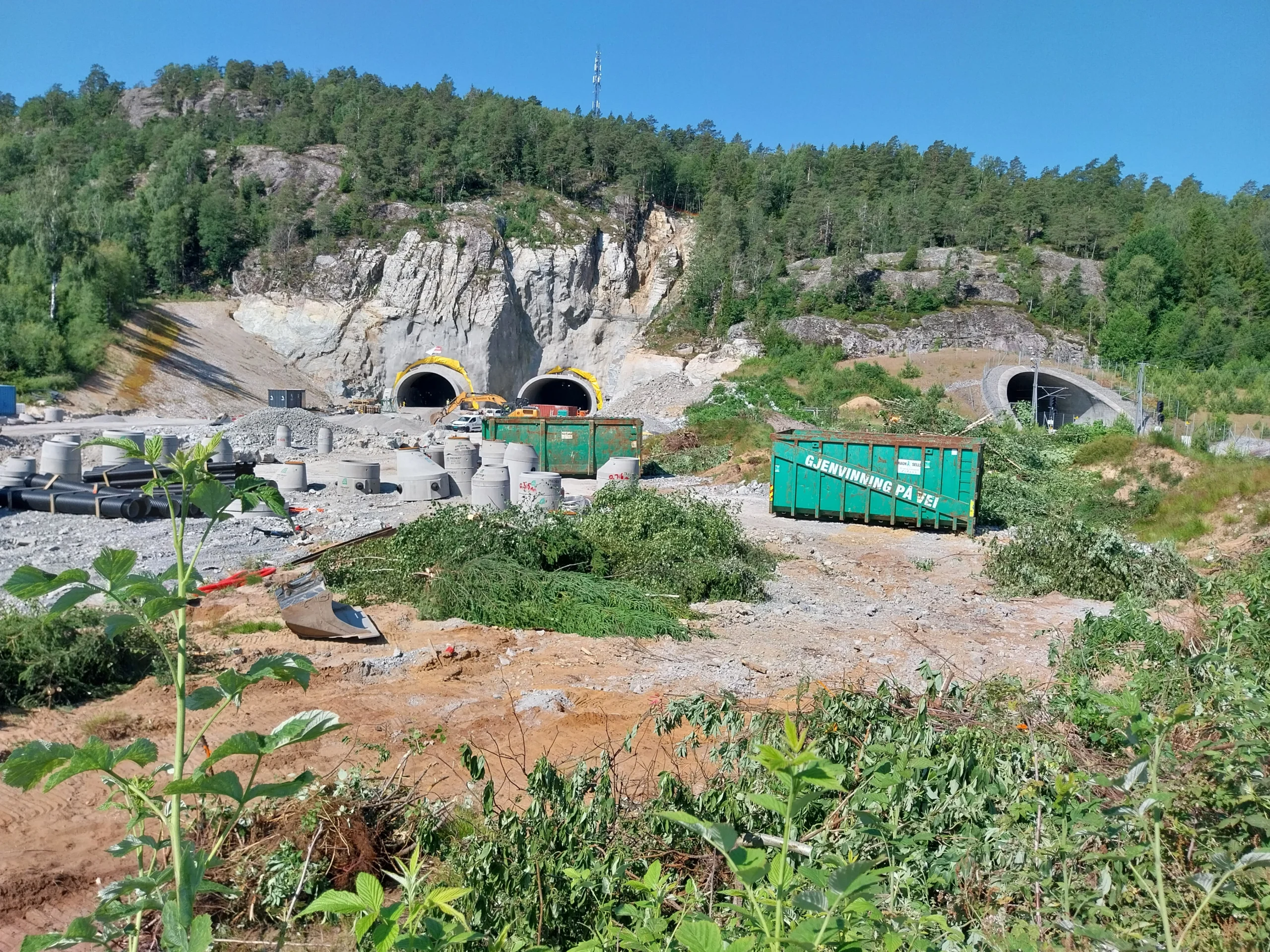 Fjerning av Rødhyll på anlegg