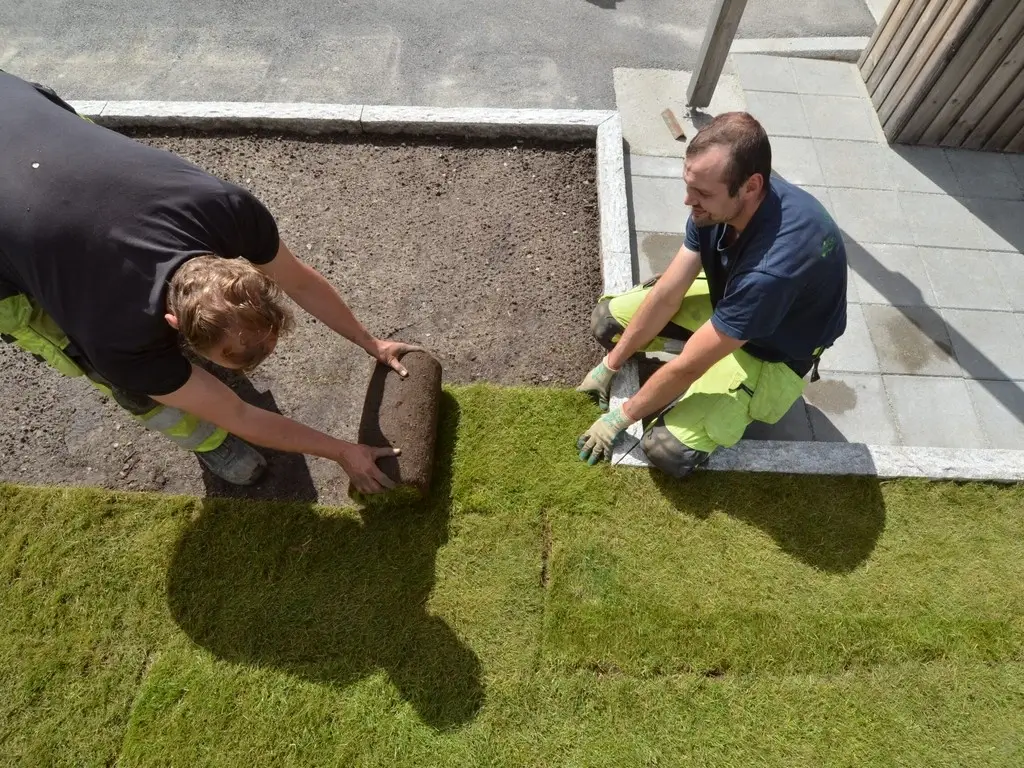 To anleggsgartrnere som ruller ut gress