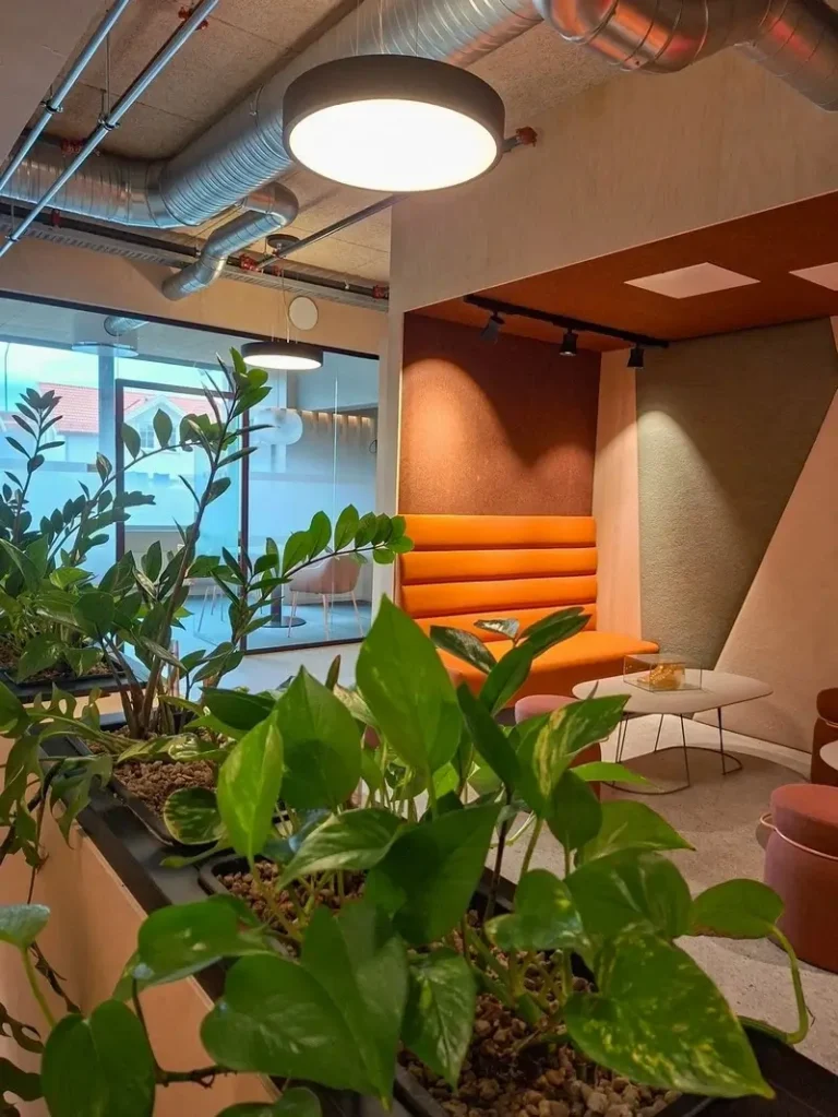 Planter ved sittekrok hos GBBL