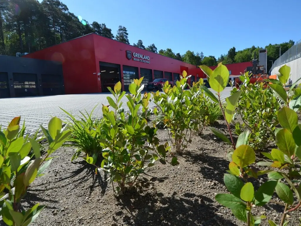 Detaljebilde ab beplantning på Grenland Brann og Redning